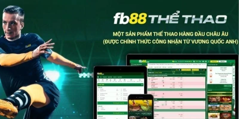 Sàn cược thể thao FB88 sôi động với kèo chơi bạc tỷ.
